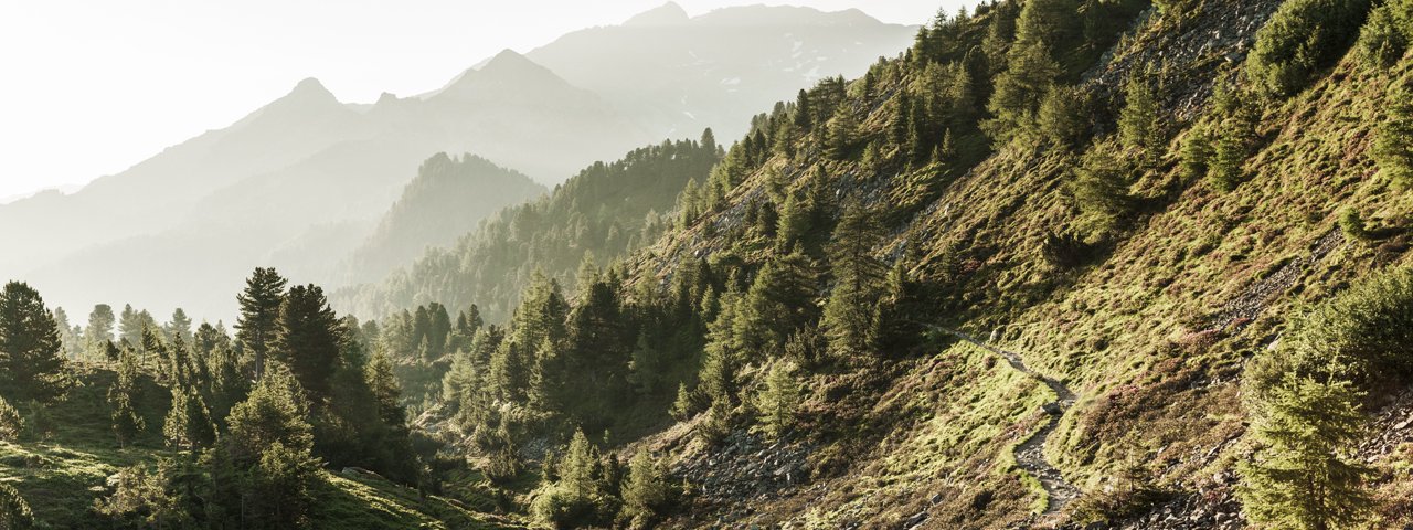 Between the Patscherkofel and Glungezer mountains