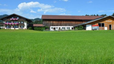 Bauernhof Grafenhof Ebbs Hofansicht Sommer