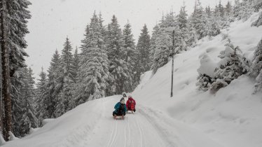 Toboggan run at the Naviser Hütte, © Tirol Werbung/Markus Jenewein