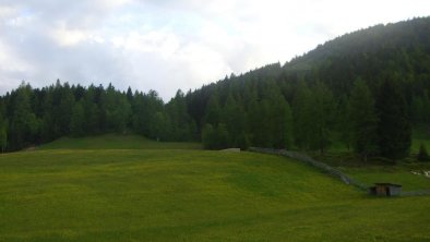 Aussicht vom Balkon