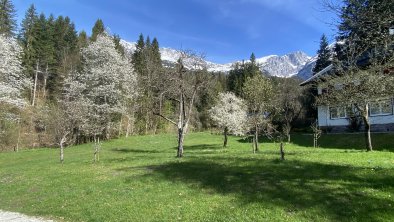 Beim Talschuster Frühling