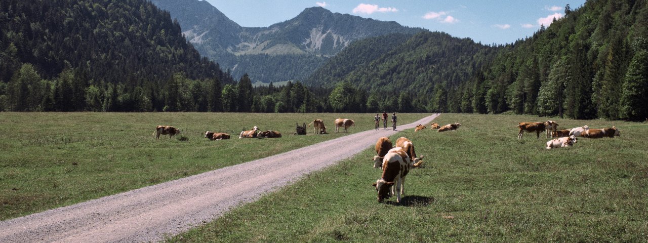 Gravelbiking in the Kufsteinerland region, © Tirol Werbung