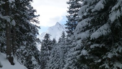 blick vom verschneiten Wald zur Ballunspitze