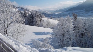 Aussicht auf der Terasse übers Brixental