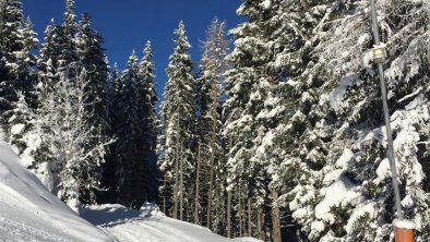 Traum-Winterlandschaft