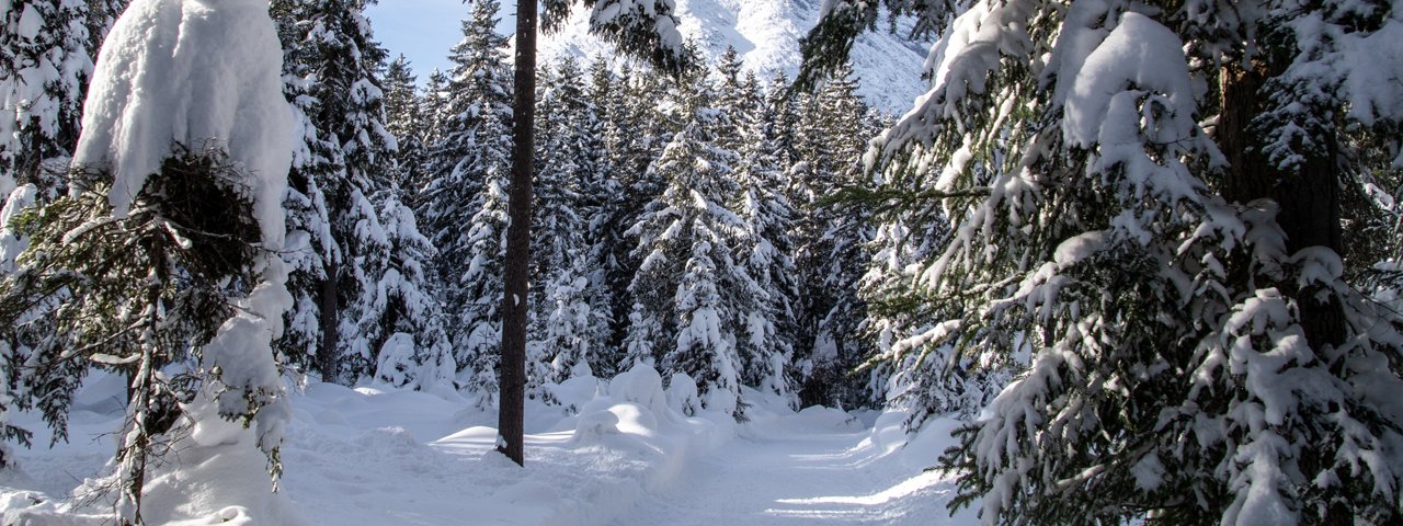 The Leutasch Forest Trail, © Region Seefeld