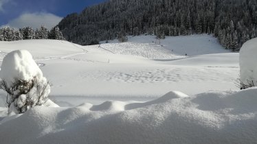 Blick Richtung Skilift neben FW/Apartment