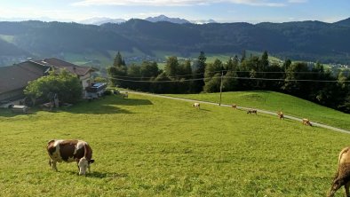 Brandterhof_Brandenberg_Alpbachtal_Blick Alpbachta