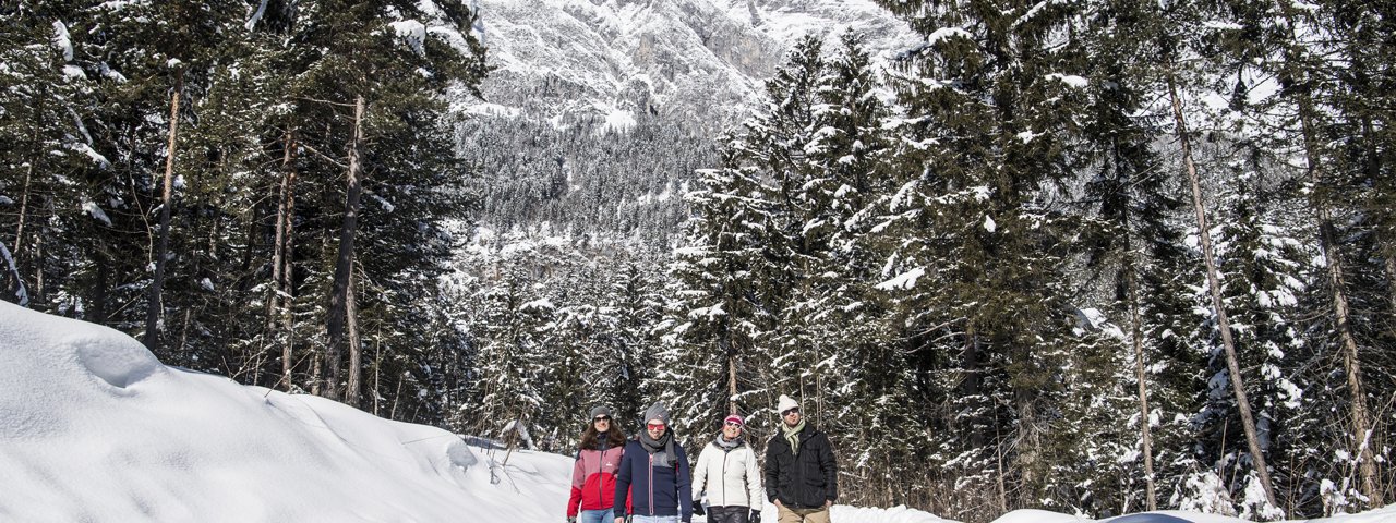 Winter walking in the Hall-Wattens region, © TVB Hall-Wattens