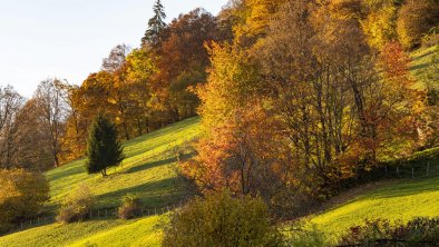 Herbstimpressionen_TVB_Wildschoenau_Dabernig_10_20