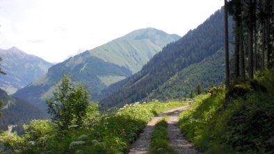 Wanderung im Gröbental  mit Blick zum Mähberg