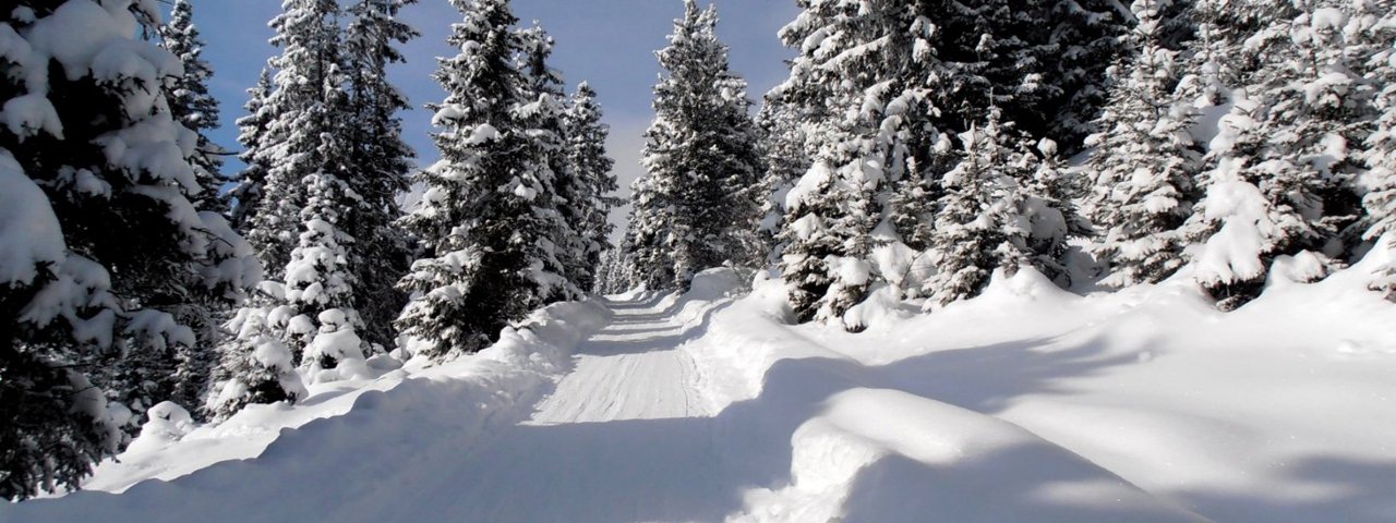 Rosskogelhütte - Stiglreith Toboggan Run, © Alfons Hörtnagl