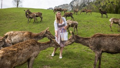 Deers Berghof Haselsberger