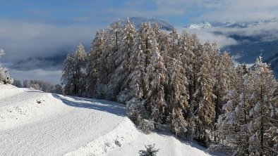 Telfes Wiesen