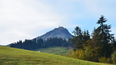 Kitzbüheler Horn Sommer