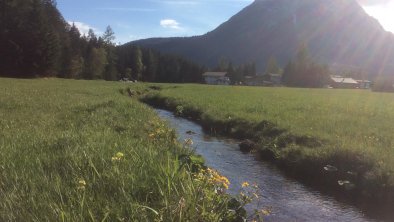 Blick auf Appartement Holzmann mit der Hohen Munde