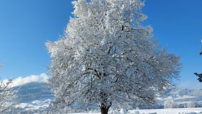 Aussicht Winter von Terrasse