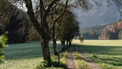 Tischlerhof_Kirchdorf_Wilder Kaiser, © Sissi Richter