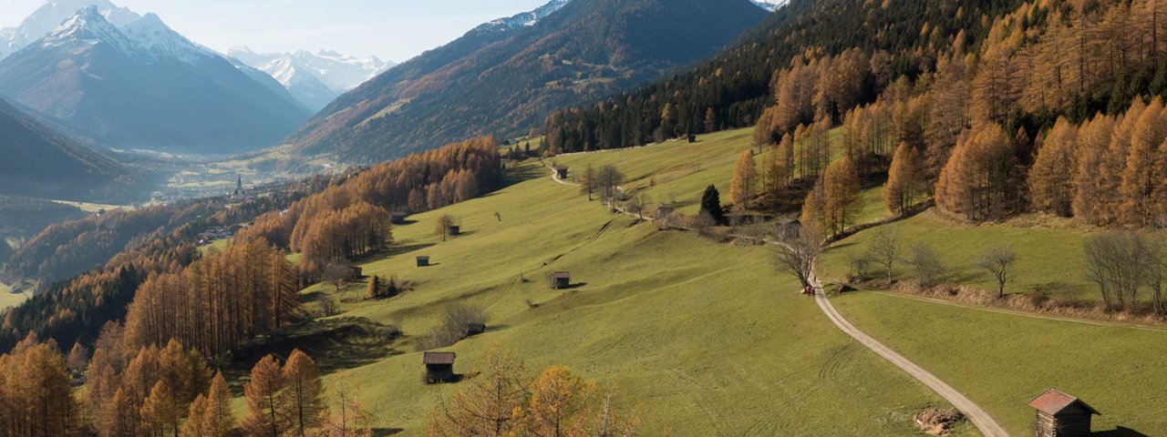 Buggy-friendly walk through the Telfeser Wiesen