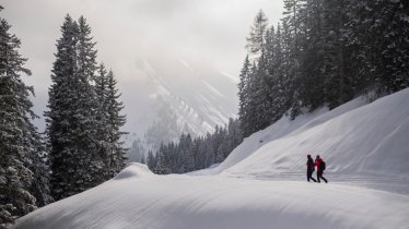 On the way to the Ehenbichler Alm