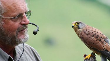 Birds of Prey Park in Telfes im Stubai, © Greifvogelpark Telfes