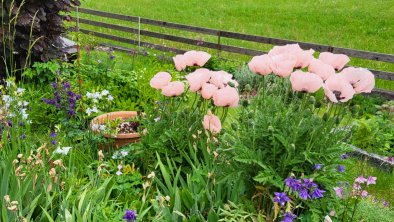 Garten - kleines Paradies