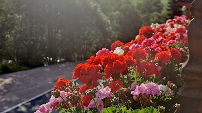 alpbachloft_alpbachtal_annasbakonyflowers, © Anna-Christina Moser