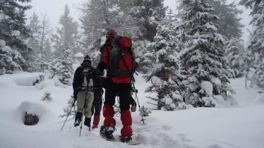 Landhaus_Mair_Waldrast_Schneeschuhwandern