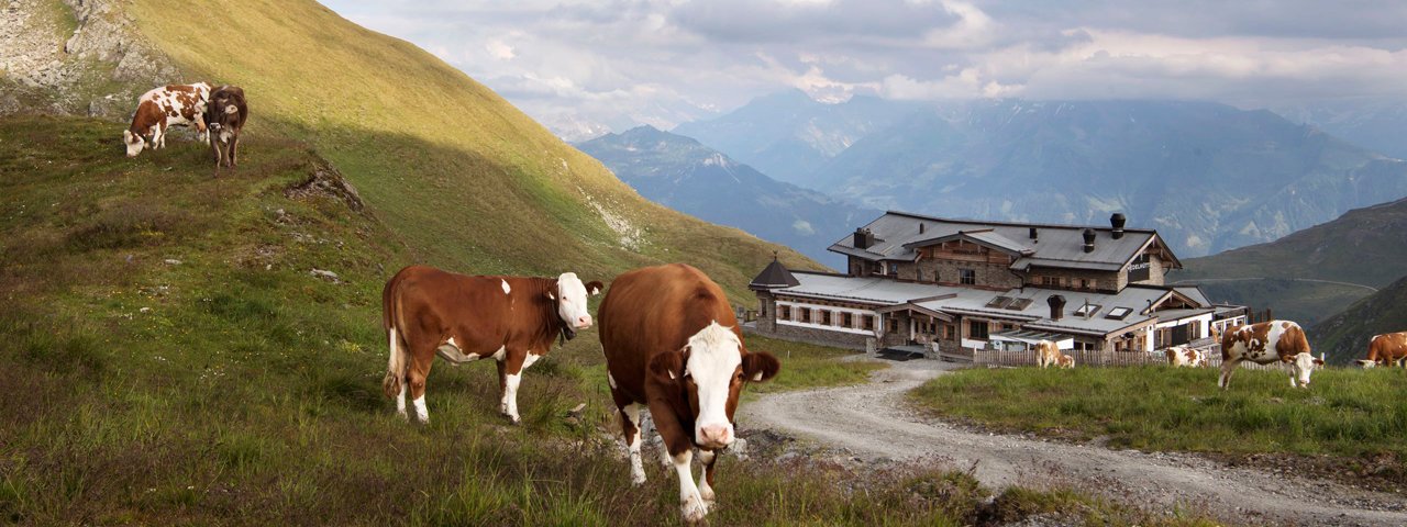 Near the Wedelhütte hut, © Tirol Werbung/Frank Bauer