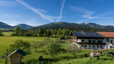 Hinterwaldhof-Blick von der Schafweide