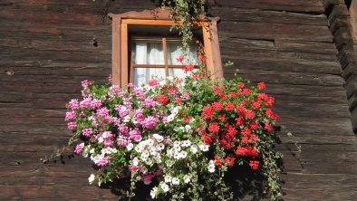 Blumenfenster