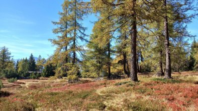 Herbst im Stubai