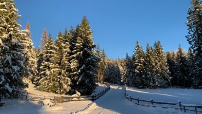 Winterlandschaft