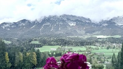 Ausblick auf den Scheffauer