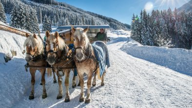 Kutschenfahrt_Schönangeralm_Wildschönau Tourismus_