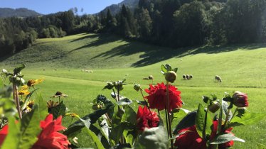 Aussicht/Garten