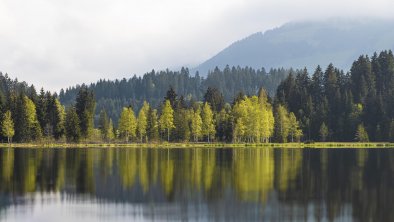 Landschaft Frühling (c) Kitzbühel Tourismus (1)