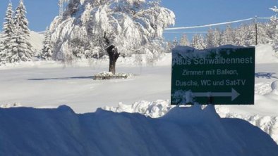 Schwalbennest Winter