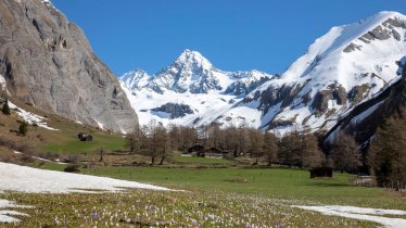 View from the Ködnitztal Valley looking towards the Großglockner mountain, © Tirol Werbung/Mario Webhofer