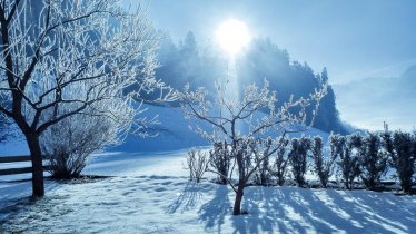 winter_landschaft_2