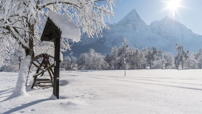 Ehrwalder Moos view at Sonnenspitze