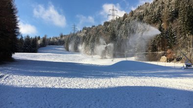 Practice ski slope and 2 drag lifts 100 m from the apartment