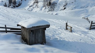 Haus Kilian_Alpbachtal_Faulbaumgartenalm (5)