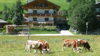 Unser Haus Alpenfrieden im Sommer