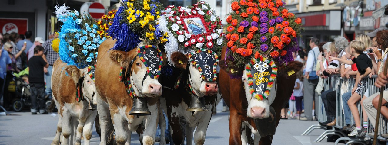 The safe homecoming of the cows is celebrated with a folk music festival at the upper town square of Kufstein, © Ferienland Kufstein