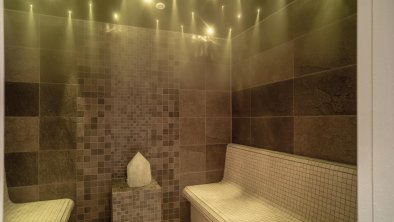 Steam Bath Cabine