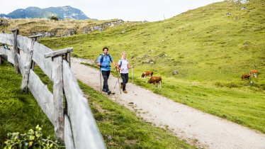 Hiking in the Kitzbühel Alps, © Mirja Geh/Eye 5