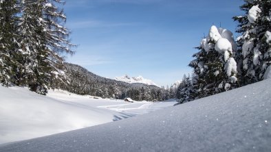 Blick auf B1 Loipe, Region Seefeld, © Region Seefeld