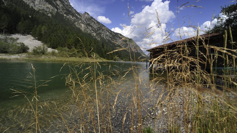 Heiterwangersee Lake, © Tirol Werbung/Bernhard Aichner