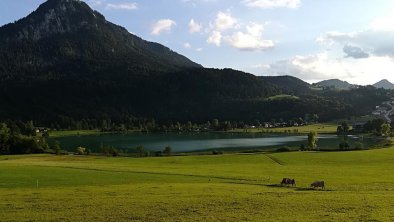 Bauernhof Langhof Thiersee - Sicht See & Pendling